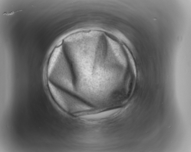 X0000103251528200809181554