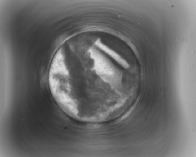 X0000103251529200809181554