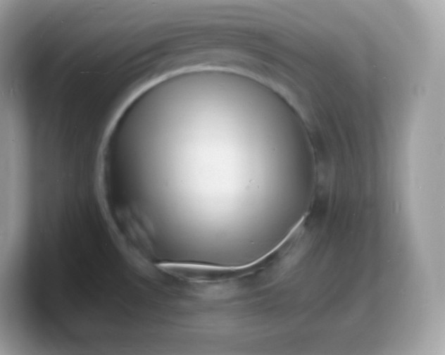 X0000103251530200809181554