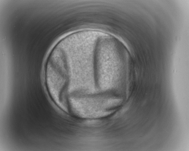 X0000103251531200809181554
