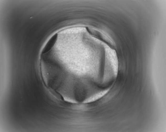 X0000103251532200809181554