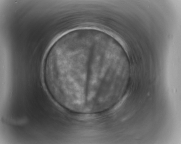 X0000103251533200809181554