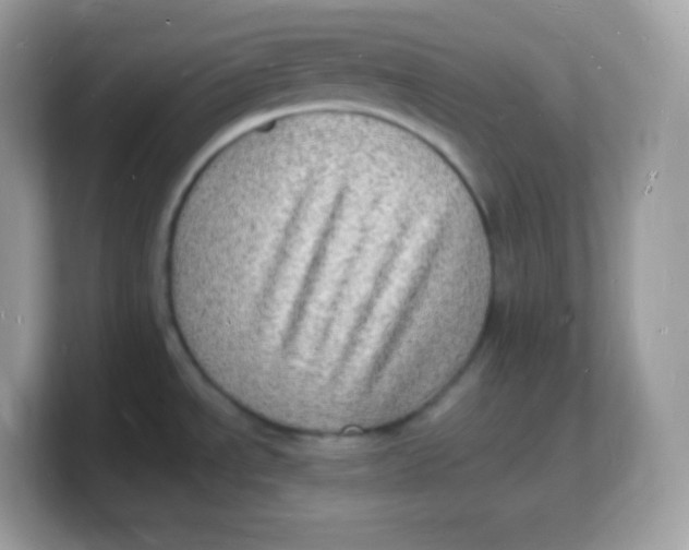 X0000103251534200809181554
