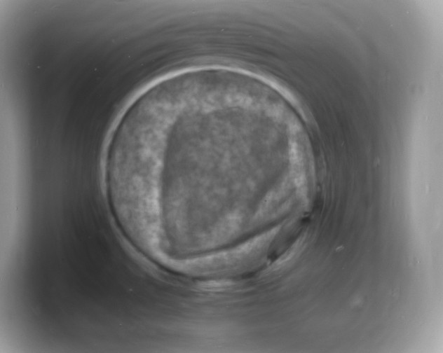 X0000103251535200809181554