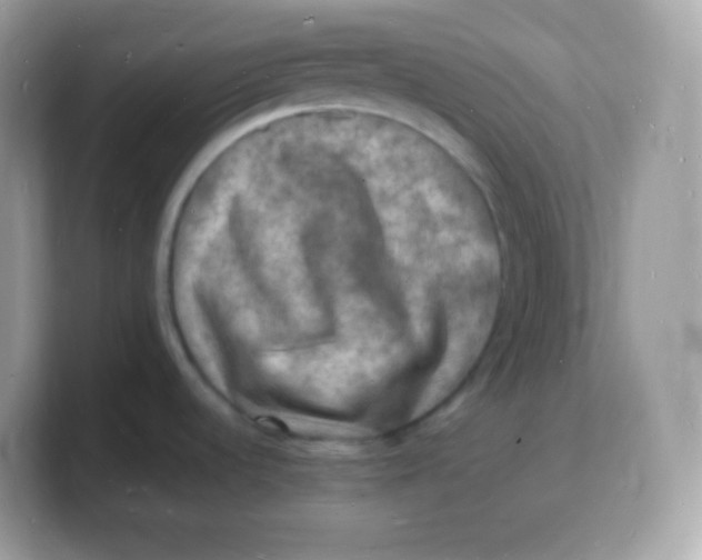 X0000103251536200809181554