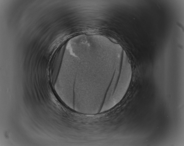X0000103250002200809251402