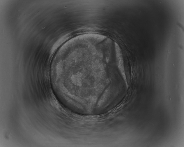 X0000103250004200809251402