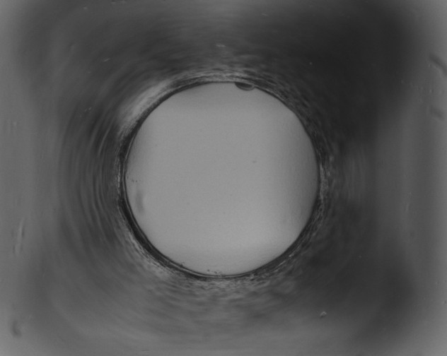 X0000103250005200809251402