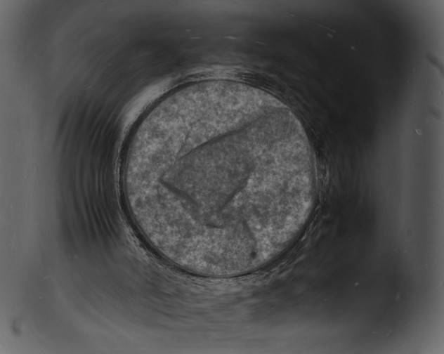 X0000103250006200809251402