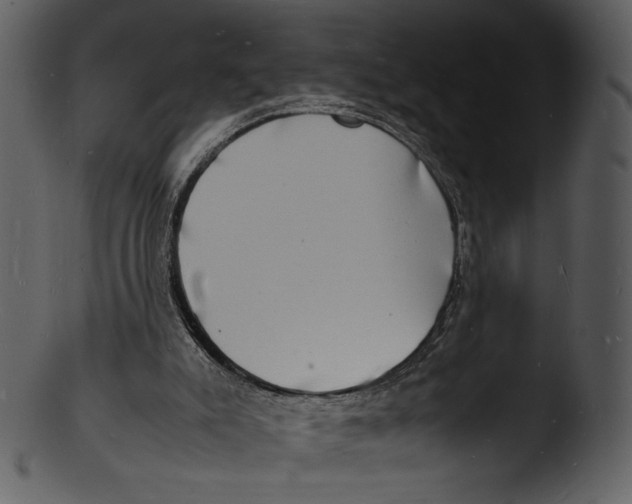 X0000103250007200809251402