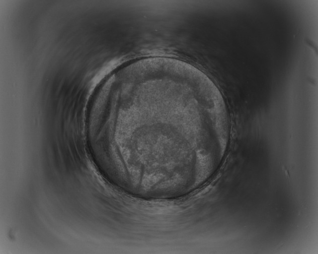 X0000103250008200809251402