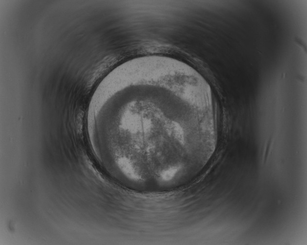 X0000103250010200809251402