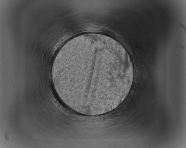 X0000103250011200809251402