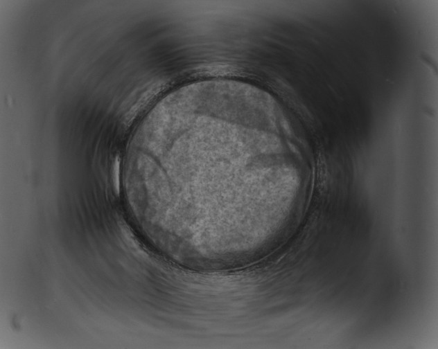 X0000103250014200809251402