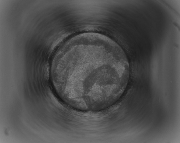 X0000103250016200809251402
