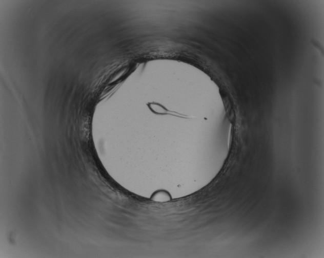 X0000103250017200809251402