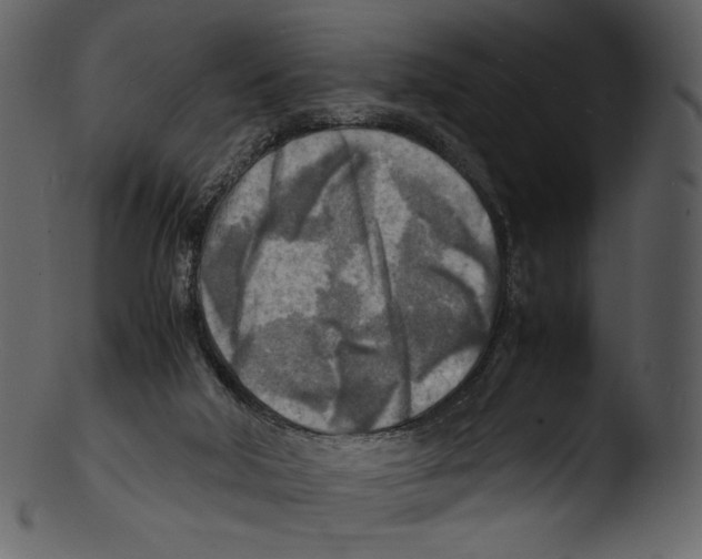 X0000103250018200809251402