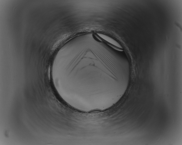 X0000103250019200809251402