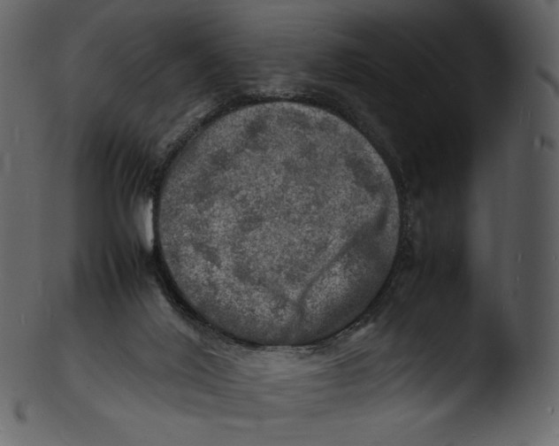 X0000103250020200809251402