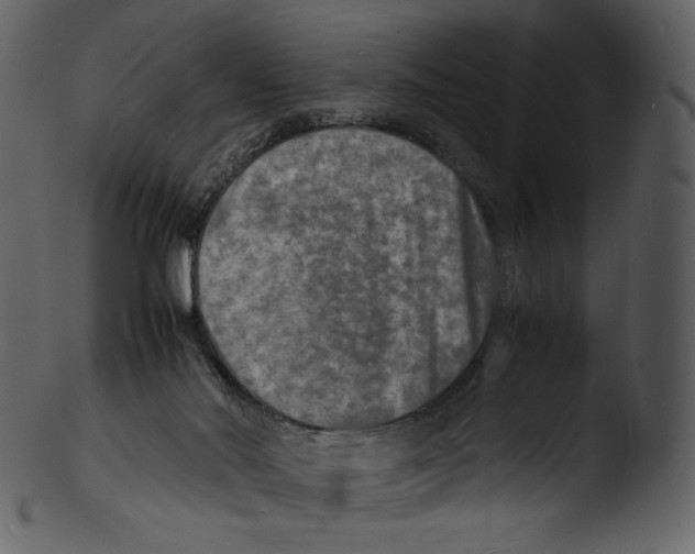X0000103250022200809251402