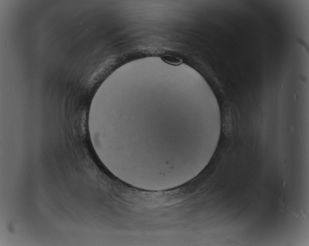X0000103250023200809251402