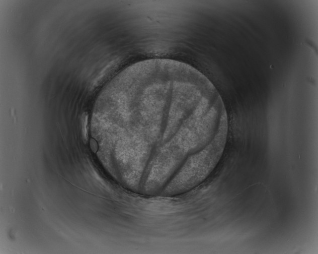 X0000103250024200809251402