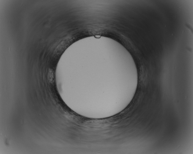 X0000103250025200809251402