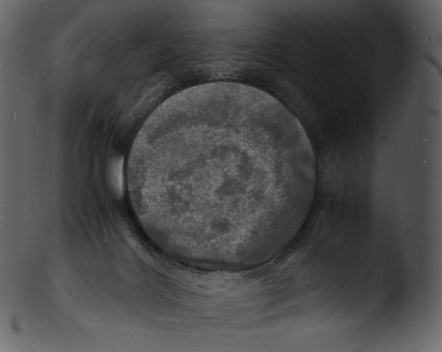 X0000103250028200809251402