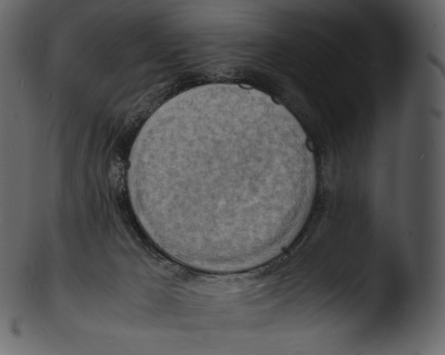 X0000103250029200809251402