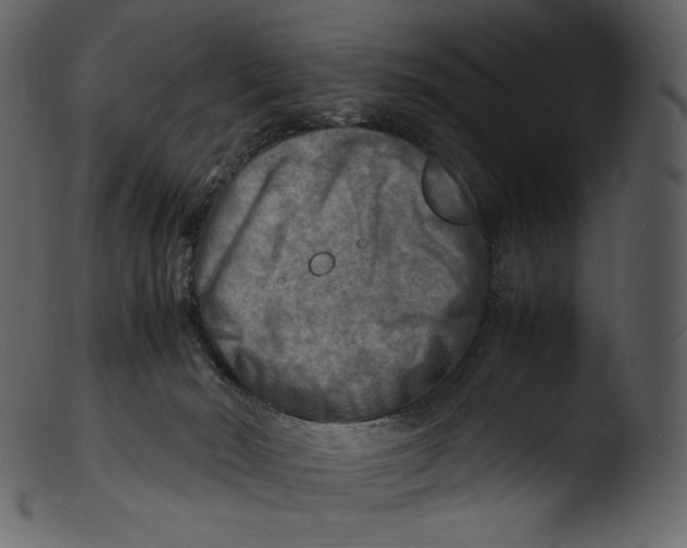 X0000103250030200809251402