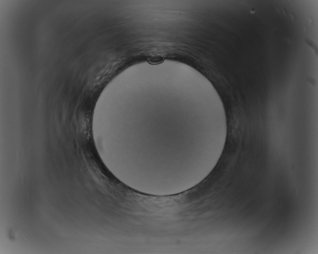 X0000103250031200809251402