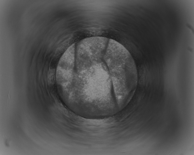 X0000103250034200809251402