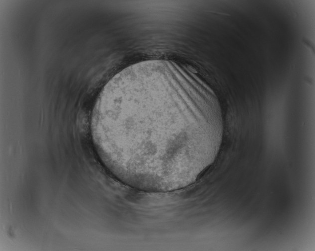 X0000103250037200809251402