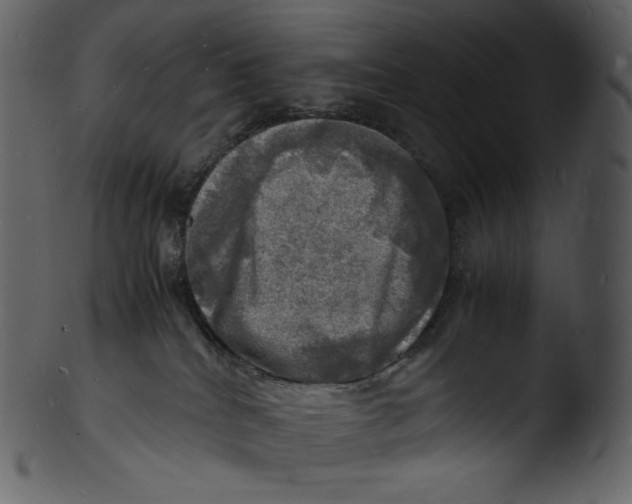 X0000103250040200809251402