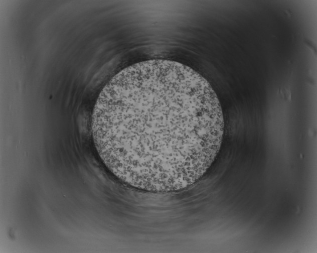 X0000103250044200809251402