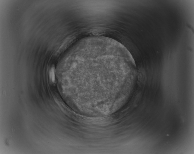 X0000103250046200809251402