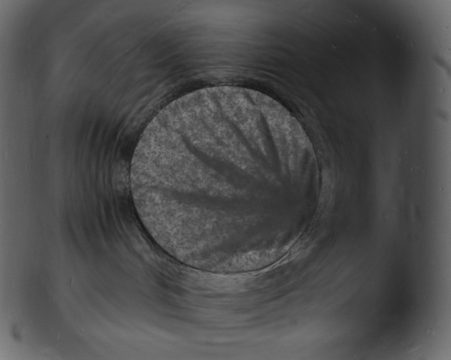 X0000103250048200809251402