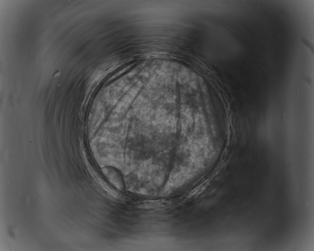 X0000103250049200809251401