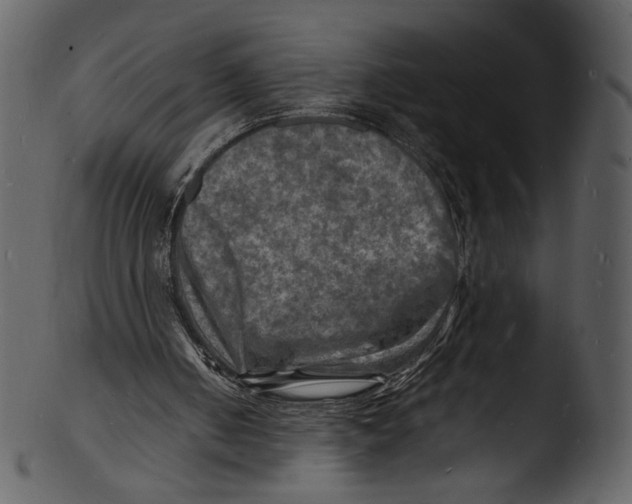 X0000103250050200809251401
