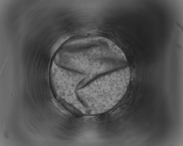 X0000103250052200809251401