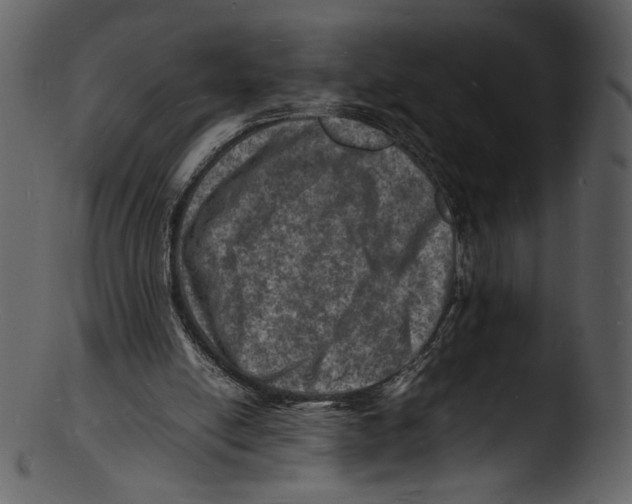 X0000103250054200809251401