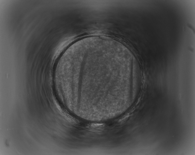 X0000103250055200809251401