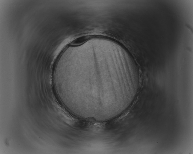 X0000103250056200809251401