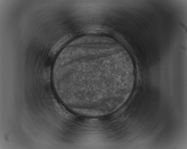 X0000103250058200809251401