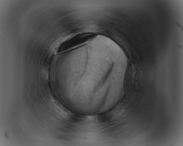 X0000103250060200809251401