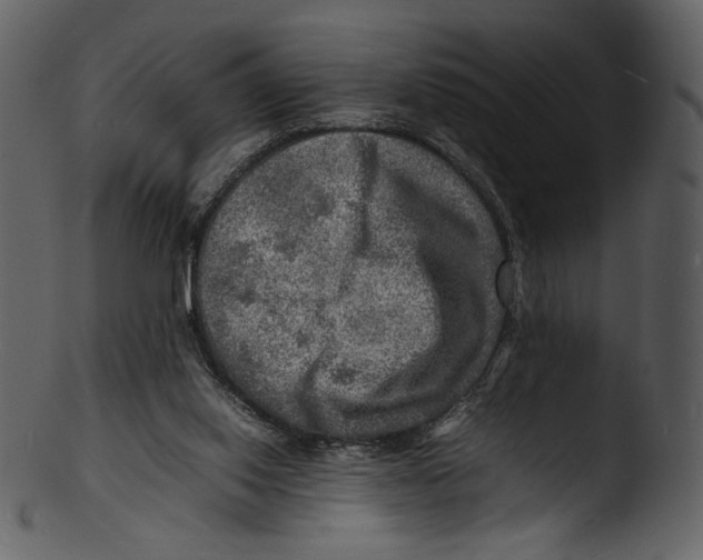 X0000103250062200809251401