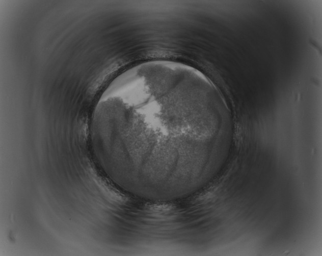 X0000103250063200809251401