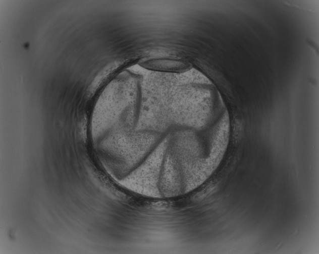 X0000103250064200809251401