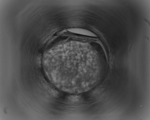 X0000103250065200809251401