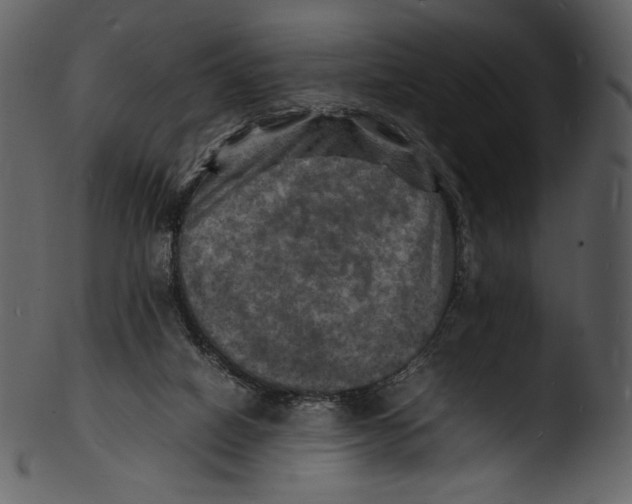 X0000103250066200809251401
